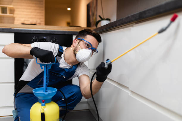 Best Mosquito Control Services  in Ridgeway, VA