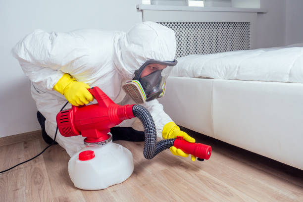 Best Exterminator Services  in Ridgeway, VA